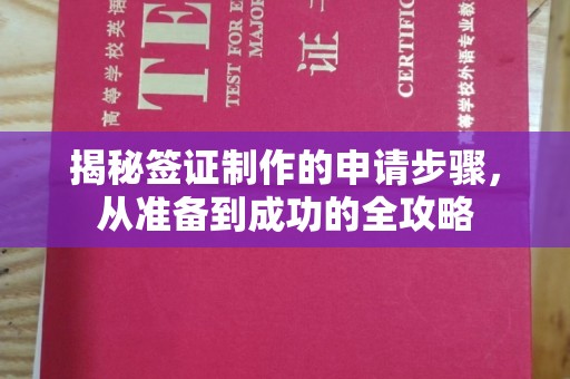 桦川揭秘签证制作的申请步骤，从准备到成功的全攻略