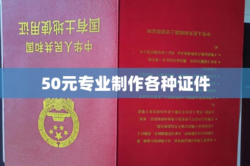 桦川50元专业制作各种证件