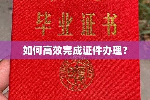 桦川如何高效完成证件办理？