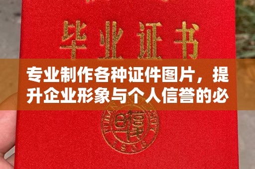 桦川专业制作各种证件图片，提升企业形象与个人信誉的必备之选