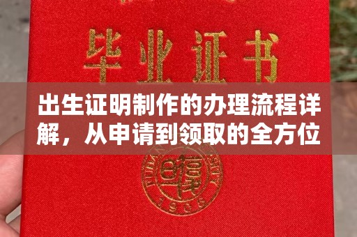 桦川出生证明制作的办理流程详解，从申请到领取的全方位指南